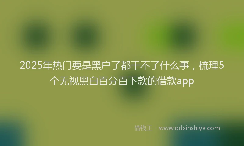 2025年热门要是黑户了都干不了什么事，梳理5个无视黑白百分百下款的借款app