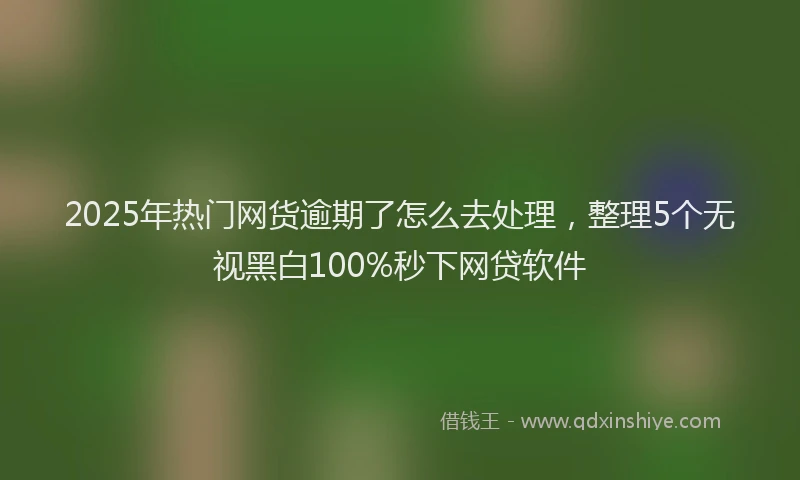 2025年热门网货逾期了怎么去处理，整理5个无视黑白100%秒下网贷软件