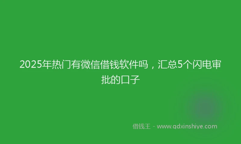 2025年热门有微信借钱软件吗，汇总5个闪电审批的口子