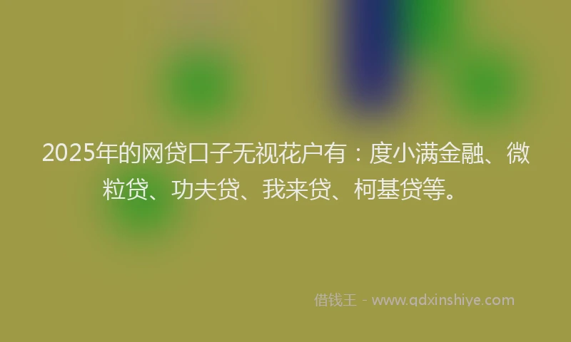 2025年的网贷口子无视花户有：度小满金融、微粒贷、功夫贷、我来贷、柯基贷等。
