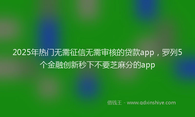 2025年热门无需征信无需审核的贷款app，罗列5个金融创新秒下不要芝麻分的app