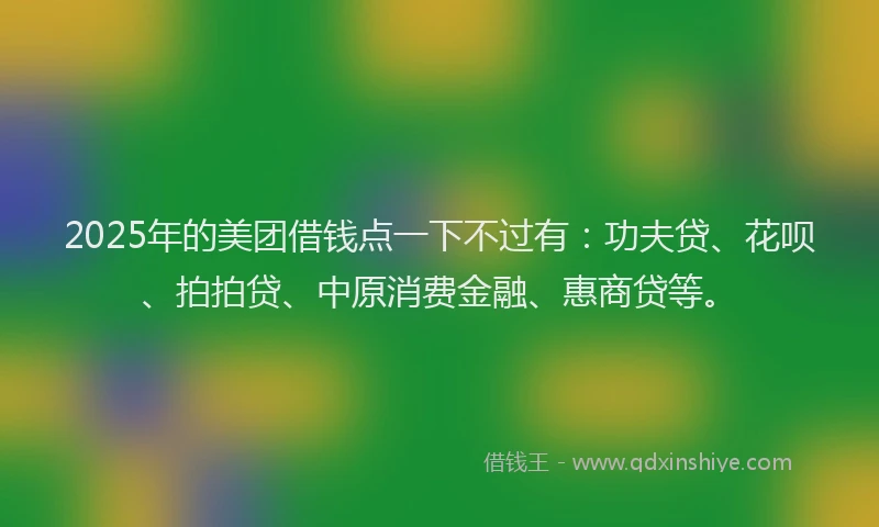 2025年的美团借钱点一下不过有：功夫贷、花呗、拍拍贷、中原消费金融、惠商贷等。