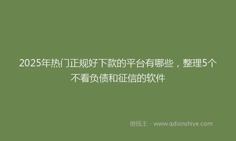 2025年热门正规好下款的平台有哪些，整理5个不看负债和征信的软件