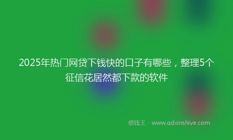 2025年热门网贷下钱快的口子有哪些，整理5个征信花居然都下款的软件
