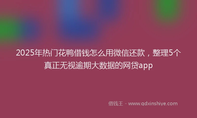 2025年热门花鸭借钱怎么用微信还款，整理5个真正无视逾期大数据的网贷app