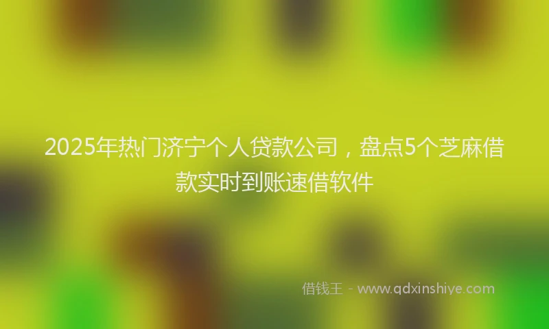 2025年热门济宁个人贷款公司，盘点5个芝麻借款实时到账速借软件