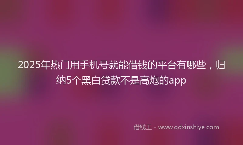 2025年热门用手机号就能借钱的平台有哪些，归纳5个黑白贷款不是高炮的app