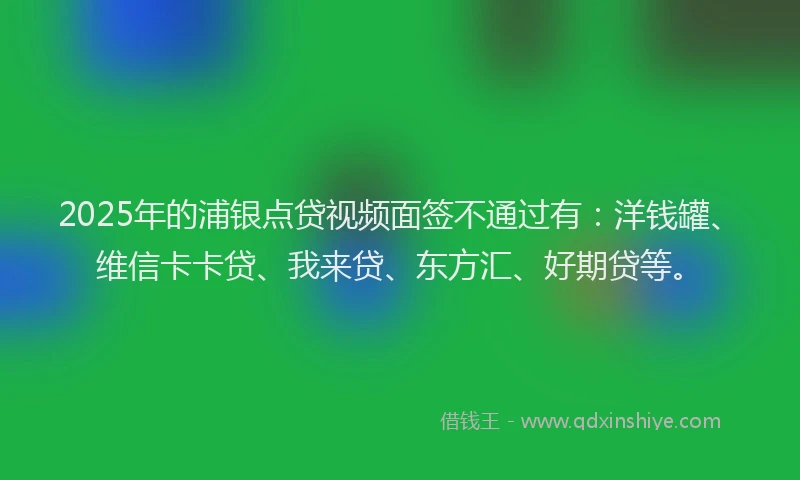 2025年的浦银点贷视频面签不通过有：洋钱罐、维信卡卡贷、我来贷、东方汇、好期贷等。