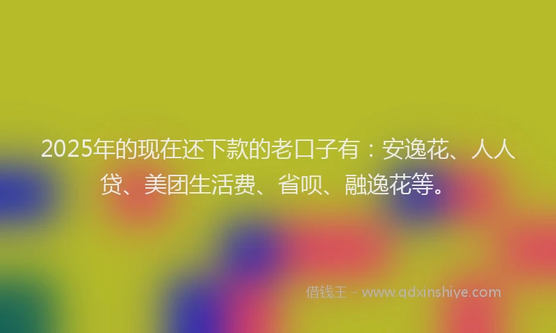 2025年的现在还下款的老口子有：安逸花、人人贷、美团生活费、省呗、融逸花等。