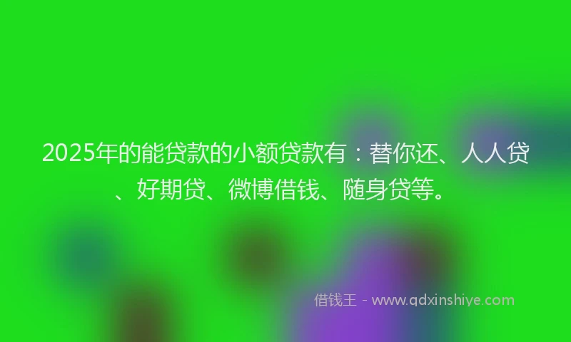 2025年的能贷款的小额贷款有：替你还、人人贷、好期贷、微博借钱、随身贷等。