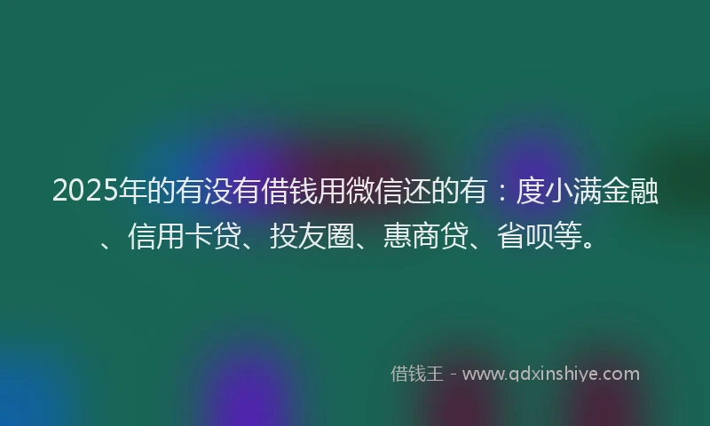 2025年的有没有借钱用微信还的有：度小满金融、信用卡贷、投友圈、惠商贷、省呗等。