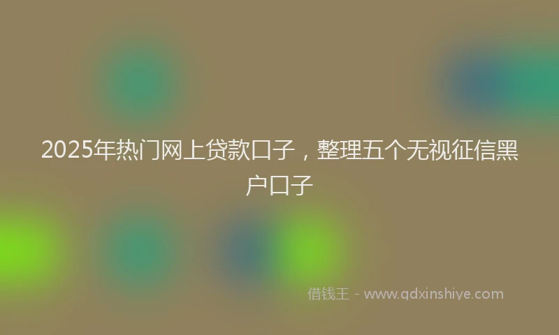 2025年热门网上贷款口子，整理五个无视征信黑户口子