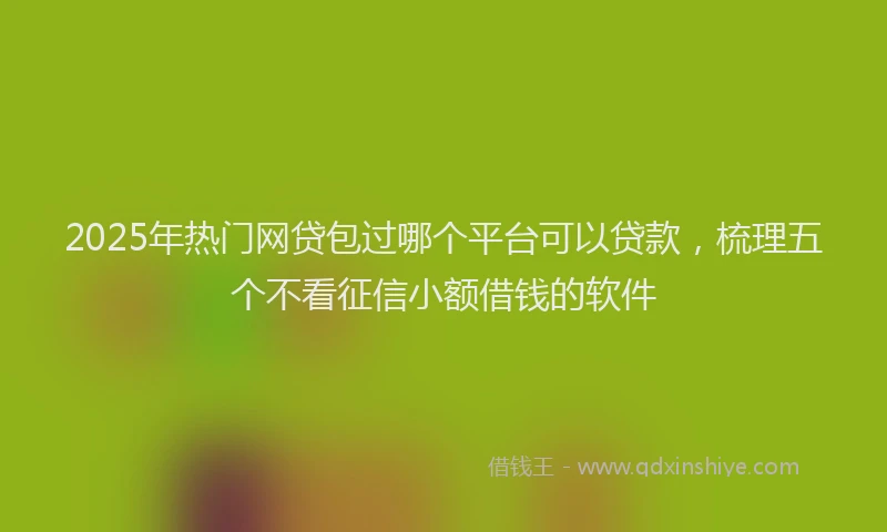 2025年热门网贷包过哪个平台可以贷款，梳理五个不看征信小额借钱的软件