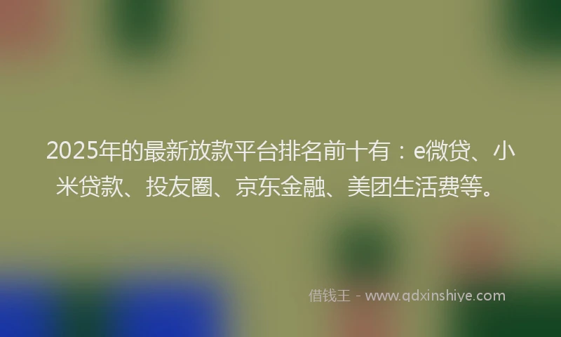 2025年的最新放款平台排名前十有：e微贷、小米贷款、投友圈、京东金融、美团生活费等。