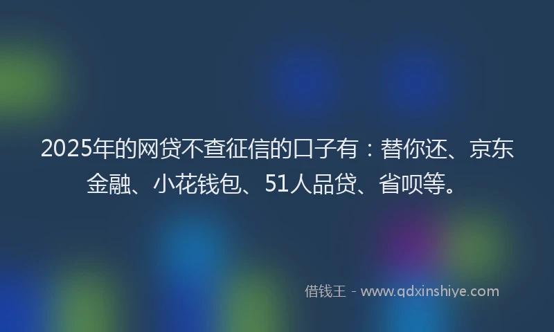 2025年的网贷不查征信的口子有：替你还、京东金融、小花钱包、51人品贷、省呗等。