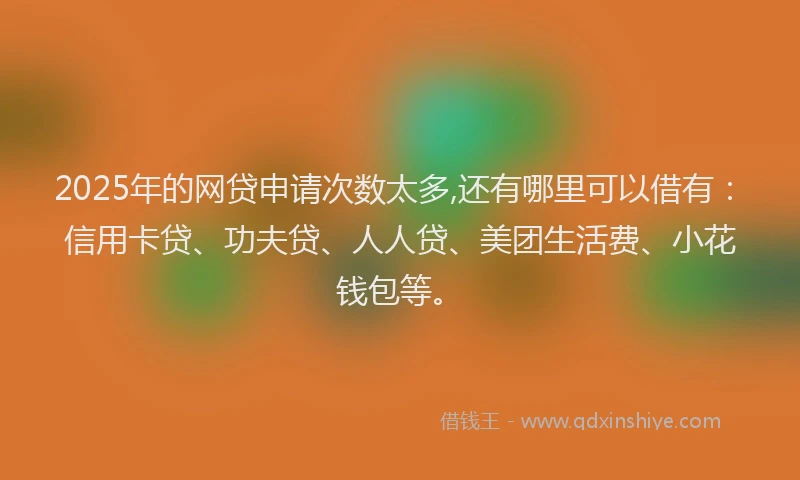 2025年的网贷申请次数太多,还有哪里可以借有：信用卡贷、功夫贷、人人贷、美团生活费、小花钱包等。