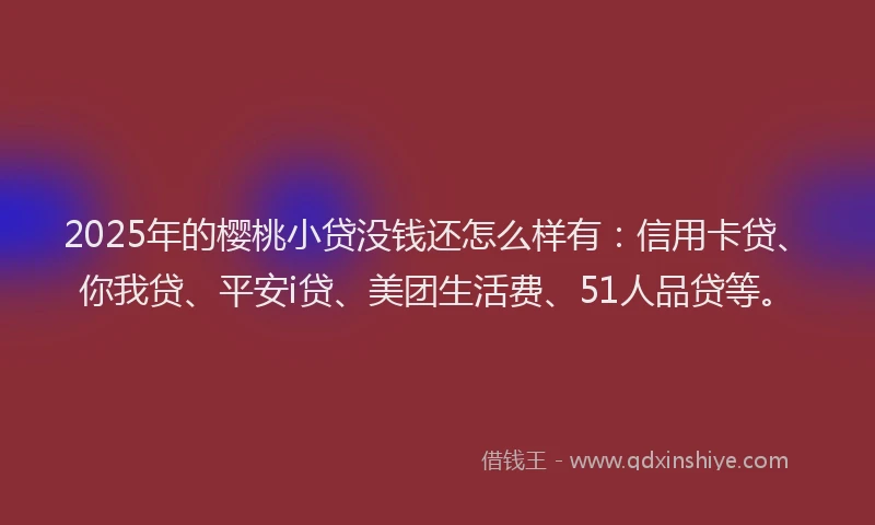 2025年的樱桃小贷没钱还怎么样有：信用卡贷、你我贷、平安i贷、美团生活费、51人品贷等。