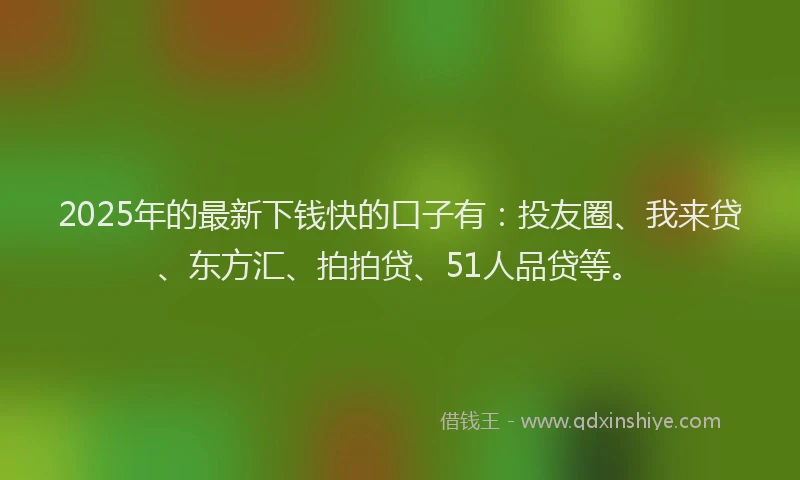 2025年的最新下钱快的口子有：投友圈、我来贷、东方汇、拍拍贷、51人品贷等。