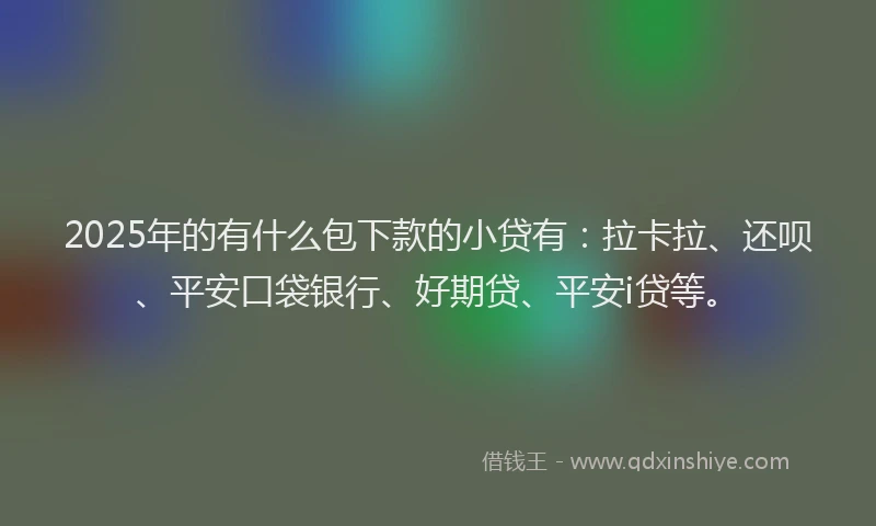 2025年的有什么包下款的小贷有：拉卡拉、还呗、平安口袋银行、好期贷、平安i贷等。