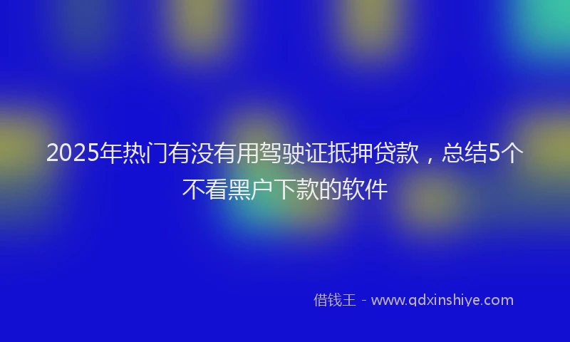 2025年热门有没有用驾驶证抵押贷款，总结5个不看黑户下款的软件