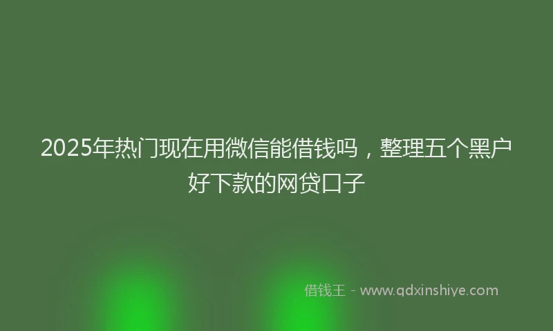 2025年热门现在用微信能借钱吗，整理五个黑户好下款的网贷口子