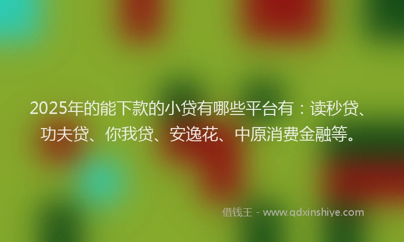2025年的能下款的小贷有哪些平台有：读秒贷、功夫贷、你我贷、安逸花、中原消费金融等。
