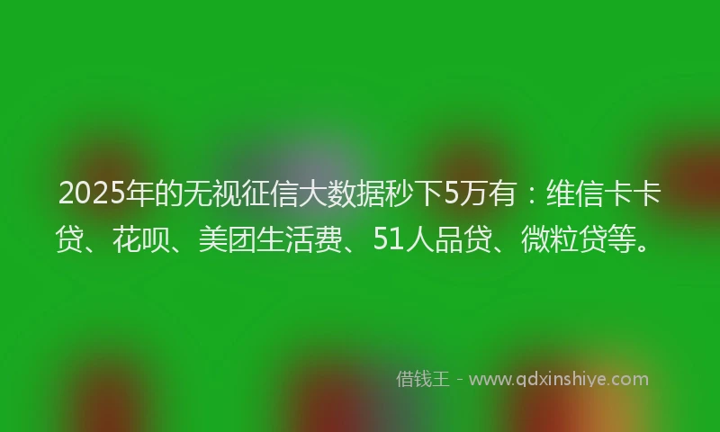 2025年的无视征信大数据秒下5万有：维信卡卡贷、花呗、美团生活费、51人品贷、微粒贷等。