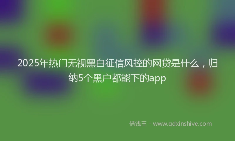 2025年热门无视黑白征信风控的网贷是什么，归纳5个黑户都能下的app