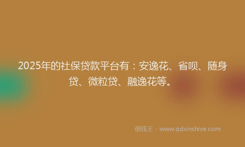 2025年的社保贷款平台有：安逸花、省呗、随身贷、微粒贷、融逸花等。