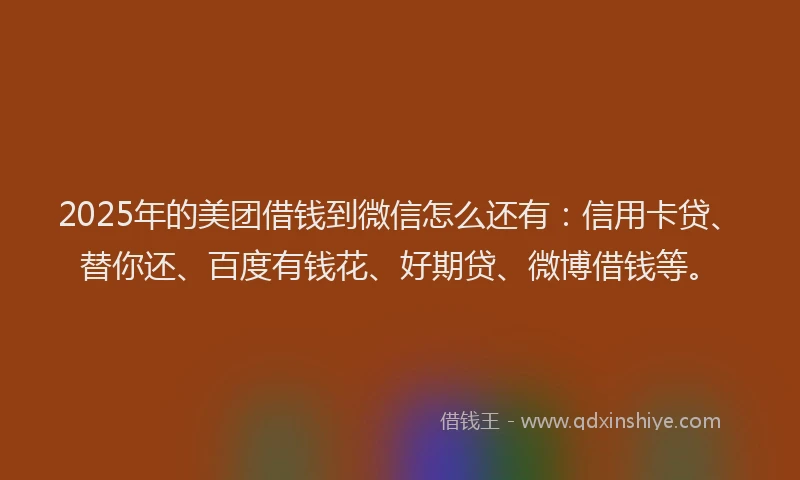 2025年的美团借钱到微信怎么还有：信用卡贷、替你还、百度有钱花、好期贷、微博借钱等。