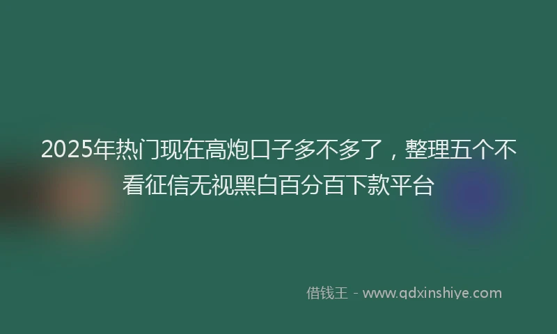 2025年热门现在高炮口子多不多了，整理五个不看征信无视黑白百分百下款平台