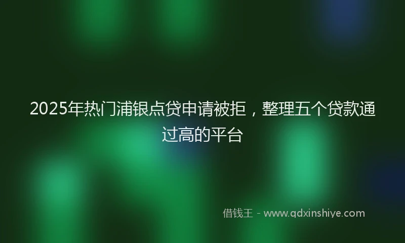 2025年热门浦银点贷申请被拒，整理五个贷款通过高的平台