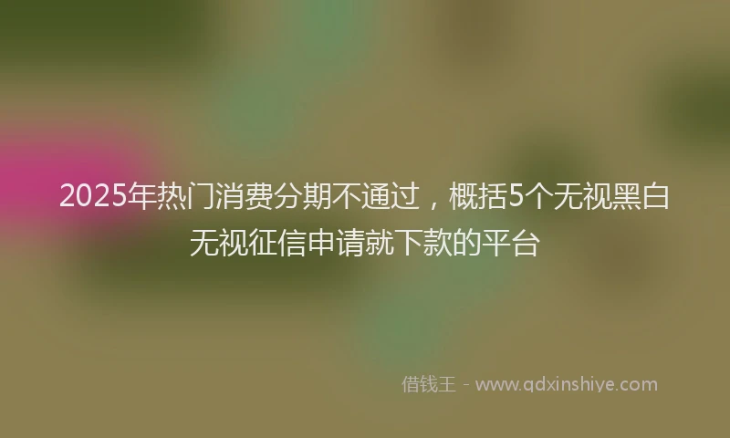 2025年热门消费分期不通过，概括5个无视黑白无视征信申请就下款的平台