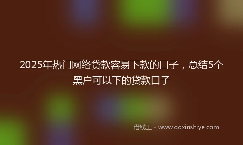 2025年热门网络贷款容易下款的口子，总结5个黑户可以下的贷款口子