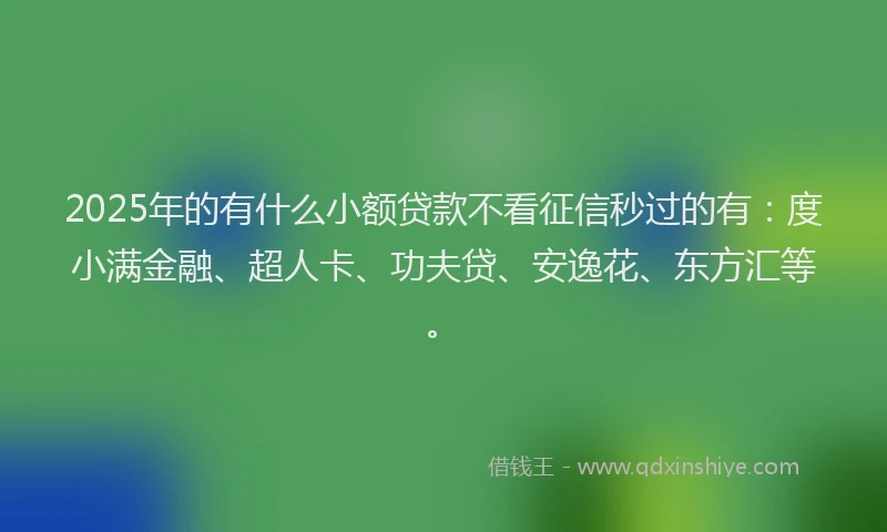 2025年的有什么小额贷款不看征信秒过的有：度小满金融、超人卡、功夫贷、安逸花、东方汇等。