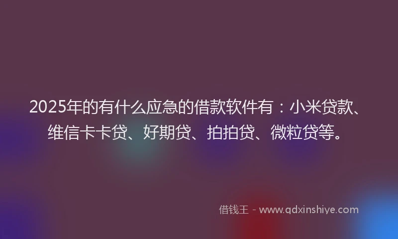 2025年的有什么应急的借款软件有：小米贷款、维信卡卡贷、好期贷、拍拍贷、微粒贷等。