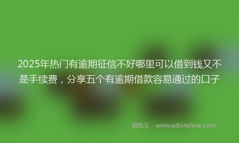 2025年热门有逾期征信不好哪里可以借到钱又不是手续费，分享五个有逾期借款容易通过的口子