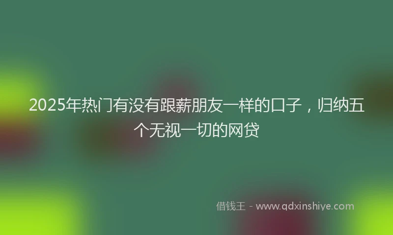 2025年热门有没有跟薪朋友一样的口子，归纳五个无视一切的网贷