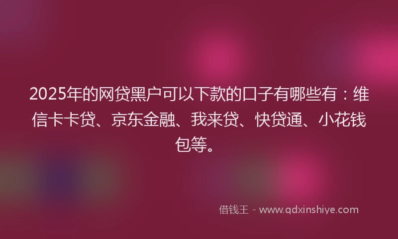 2025年的网贷黑户可以下款的口子有哪些有：维信卡卡贷、京东金融、我来贷、快贷通、小花钱包等。