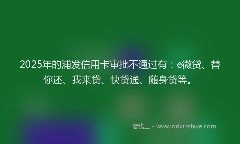 2025年的浦发信用卡审批不通过有：e微贷、替你还、我来贷、快贷通、随身贷等。