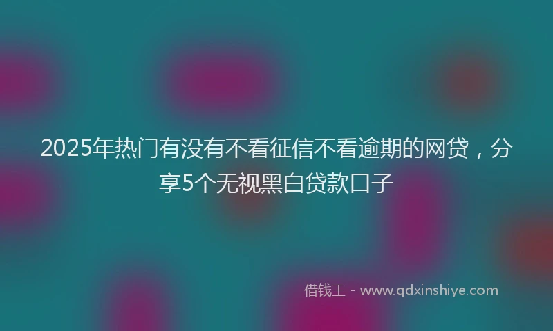 2025年热门有没有不看征信不看逾期的网贷，分享5个无视黑白贷款口子