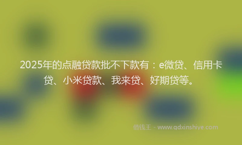 2025年的点融贷款批不下款有：e微贷、信用卡贷、小米贷款、我来贷、好期贷等。