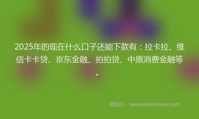 2025年的现在什么口子还能下款有：拉卡拉、维信卡卡贷、京东金融、拍拍贷、中原消费金融等。