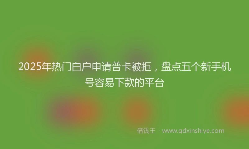 2025年热门白户申请普卡被拒，盘点五个新手机号容易下款的平台