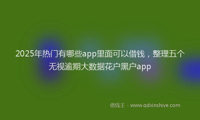 2025年热门有哪些app里面可以借钱，整理五个无视逾期大数据花户黑户app