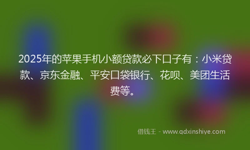 2025年的苹果手机小额贷款必下口子有：小米贷款、京东金融、平安口袋银行、花呗、美团生活费等。