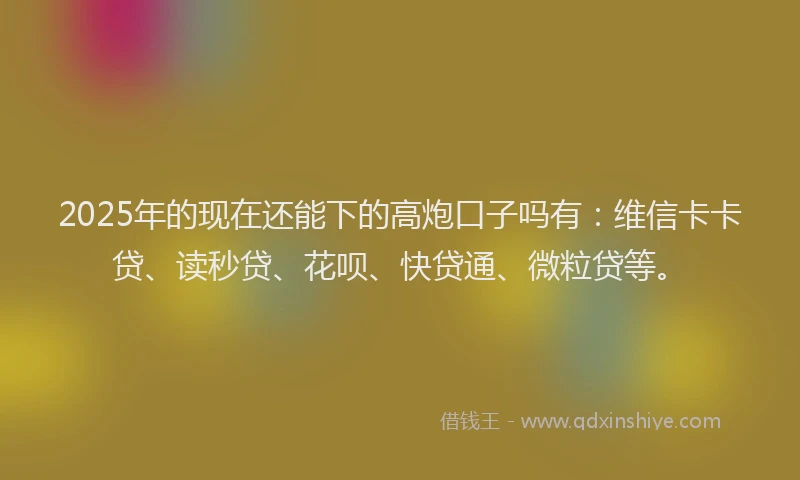 2025年的现在还能下的高炮口子吗有：维信卡卡贷、读秒贷、花呗、快贷通、微粒贷等。