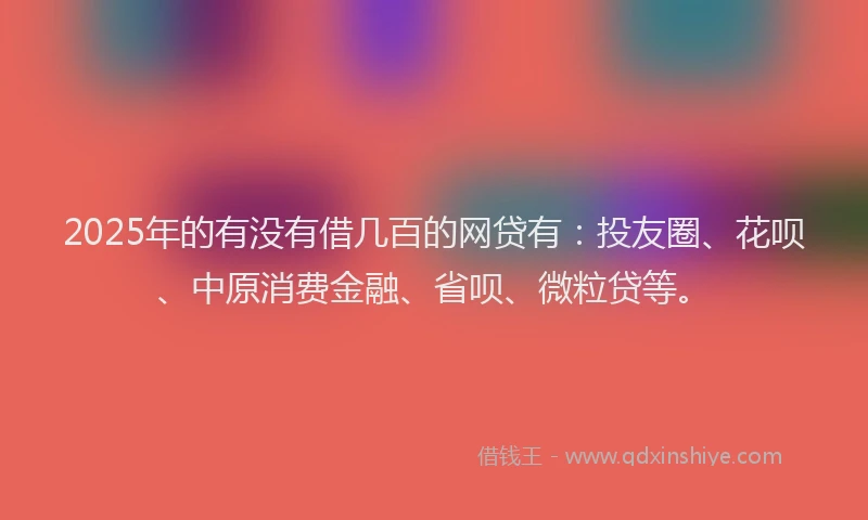 2025年的有没有借几百的网贷有：投友圈、花呗、中原消费金融、省呗、微粒贷等。