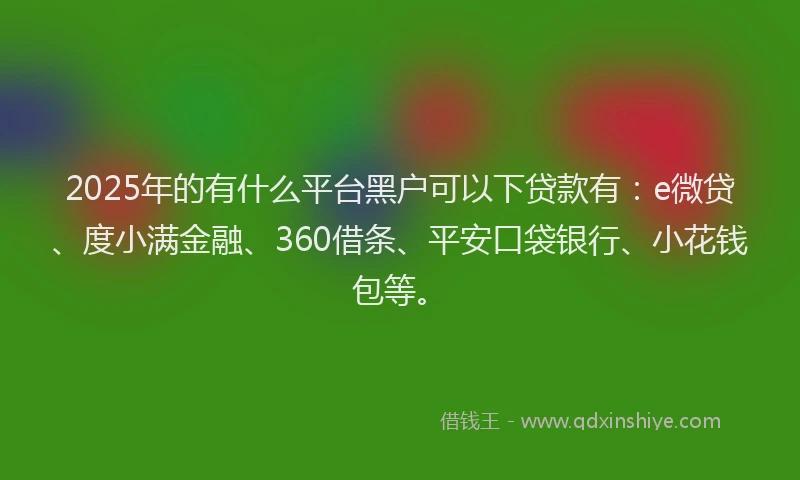 2025年的有什么平台黑户可以下贷款有：e微贷、度小满金融、360借条、平安口袋银行、小花钱包等。