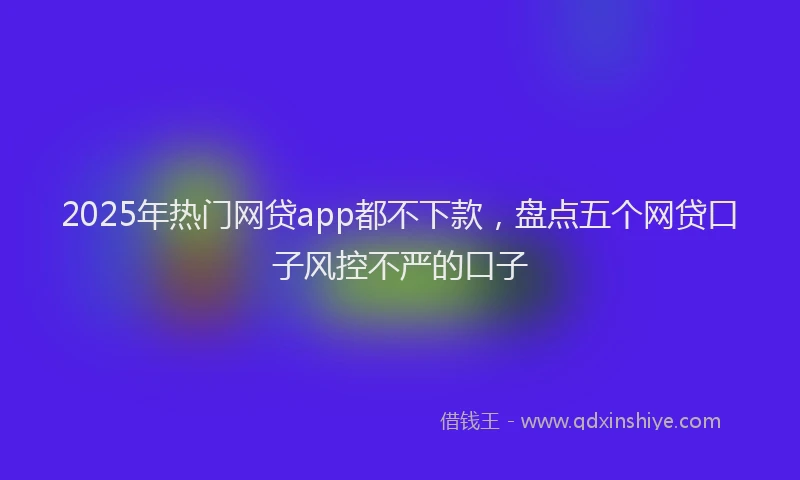 2025年热门网贷app都不下款，盘点五个网贷口子风控不严的口子